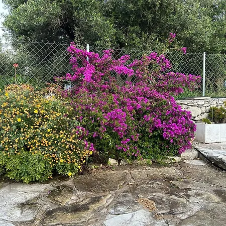Villa Old Stone In Apokoronas Nostalgia Kreta Filippos