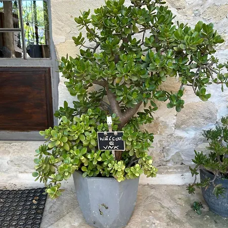 Old Stone In Apokoronas Nostalgia Kreta